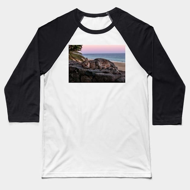 Cat in the sunset on the beach Baseball T-Shirt by lightsfromspace